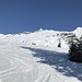 Oberhalb des Waldes, unterhalb Alp Obererbs