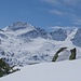 Wieder ein schöner Blick auf Piz della Palù und Piz Timun.