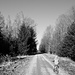 Rückweg