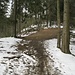 Oberhalb des Kleinen Kandelfelsens wird es etwas winterlich. Hier verließ ich den geradeaus direkt zum Kandel-Gipfel führenden Weg und ging stattdessen nach links, um noch den Großen Kandelfelsen zu besuchen.