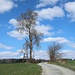 Stillleben in der Oberpfalz.