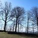 Am Hohen Parkstein finden sich die Überreste einer ehemaligen Burg. Viel ist nicht mehr übrig.