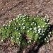 Es wird Frühling!