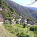 Cursolo