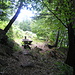 Bella fontana all'uscita dal bosco 