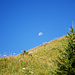 Mond über den Greiwiesen