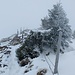 The peak: the cross *should* have been visible just beyond the wall of fog.