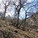 verso il Cervinetto
