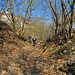 Abbastanza pulito nel primo tratto poi si perde nel bosco per ritrovarlo u n pò a fatica verso S