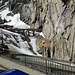 Prolog: Der bekannteste Schneemann der Schweiz hat sich in diesem Jahr auch in die Berge verzogen...