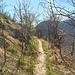 aggirando la cresta, per scendere in Valganna