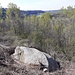 Bosco del Vigano da cui si amplifica la vista sul Ticino sul rigoglioso ambiente naturale del parco. Si trova anche masso erratico suggestivo in una zona recentemente disboscata.