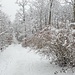 tief verschneiter Wanderweg