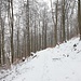 auf dem Rückweg zum Herzberg