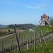 Burg Wildeck und im Hintergrund die Burgruine Helfenberg