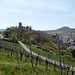 Rückblick auf die Burg Hohenbeilstein