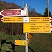 <b>Alle 7:40 mi incammino dalla Piazza Ticino del Monte Ceneri in direzione della Piazza d’Armi. </b>