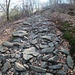 <b>Ripreso il cammino, osservo con attenzione il fondo del sentiero, in previsione di una possibile discesa con il rampichino. Prima dell’Alpe di Grumo la mulattiera diventa acciottolata, con pietre grezze di grossa taglia: il transito con la mountain bike non sarà né facile né scorrevole. </b>