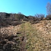 <b>Alpe di Grumo.</b>