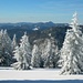 Wintermärchen Hochschwarzwald mit Blick zum Belchen (1414m).