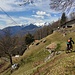 Kleine Alp während der Abfahrt nach Bellinzona