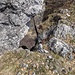 L'intaglio tra le due cime più alte del Sasso del Cusino. Salirò quella di destra (Sud), molto più facile e più alta di pochi centimetri rispetto al dente di sinistra.
