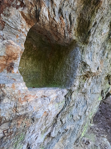 ... cet espace creusé dans la roche servait de support à un "boutzet", poutre horizontale en bois qui servait de support au "bazot" (tronc d'arbre évidé où coule l'eau).