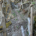 Passage facilité par une échelle (vue arrière). 