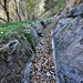 Bisse de Fätschi. 