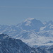 den Ortler herangezoomt (rechts vom Ortler: Monte Zebru & Königsspitze)
