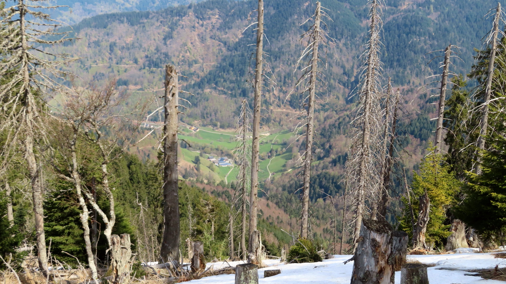 Kaltwasser, der Ausgangspunkt unten im Tal - Fotos [hikr.org]