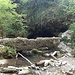 Il ponte e la vegetazione che sovrasta la grotta.