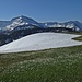 Weiß.