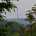 Viel Durchblick gibts trotz Zoom nicht mehr.