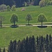 Baumparade.