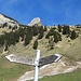 Auf der Frümsen Alp