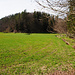 Wir erreichen das idyllische Tal der Großen Ohe
