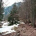 Kurz vor Erreichen der Mitterkaseralm liegt die erste längere Passage im Nassschnee vor mir.