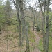 Auf dem Weg vom westlichem zum südlichen Felsen des Drachenfels.