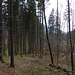Der Grat läuft nach Höfen aus. Links sieht man schon die Häuser, rechts die Landstraße.