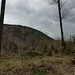 Sichtgipfel-Lichtung am Feldbichl