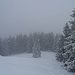 es geht wieder bei schönsten Schneefall und Nebel bergab