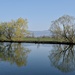 Am Canal de la Broye. 