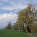 Am Canal de la Broye. 