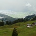 oberhalb Alp Ober Altberg gewährt uns die Regen-Nebel-Mischung sogar einen bescheidenen Blick nach Brunnen und zum Vierwaldstättersee 