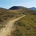 Herrliche Pfade zum Weisshorn