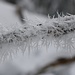stachelig