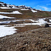 so schön der Schnee ist - die Flora macht auch was her ;)