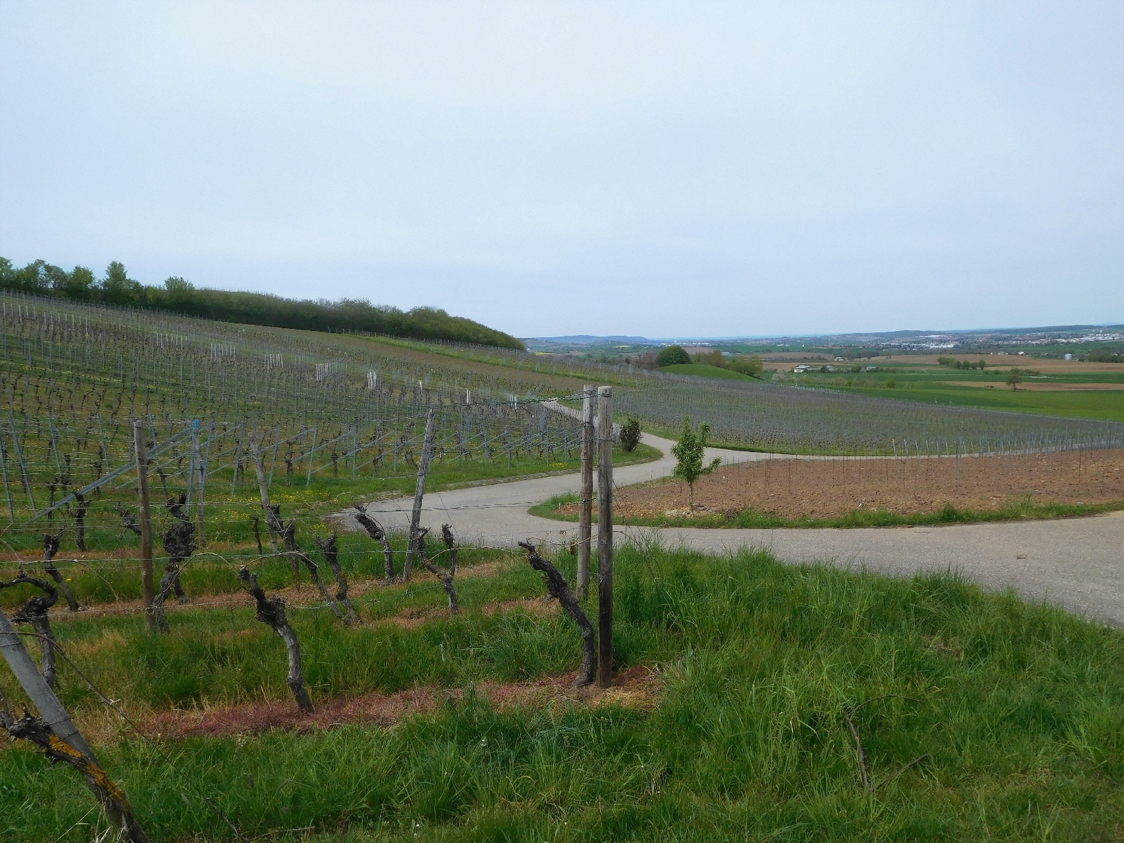 Unterwegs am Pfaffenberg Fotos