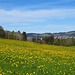 April! April! die Natur ist ein wenig hinterher